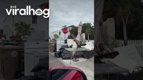 Neighborhoods Left With Mountains of Trash After Hurricane Helene || ViralHog