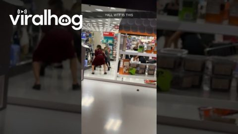 Thriller Dancing at Target || ViralHog