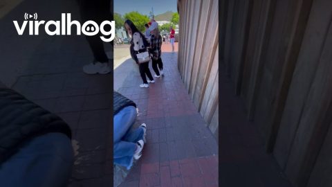 Woman Walks Directly Into Bollard || ViralHog