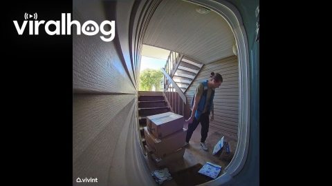 Delivery Driver Should Have Made Two Trips || ViralHog