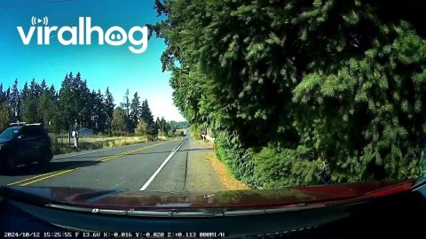SUV Drives by With the Hood Up || ViralHog
