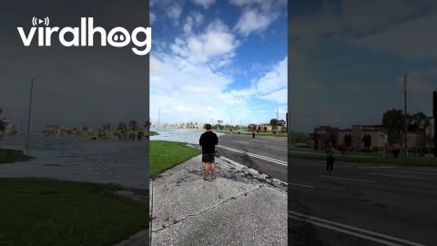 Flooding in Tampa Caused by Hurricane Milton || ViralHog