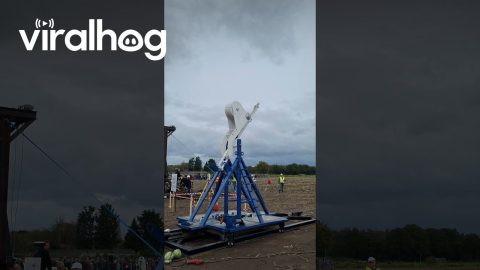 Throwing a Pumpkin 592m With a Trebuchet || ViralHog