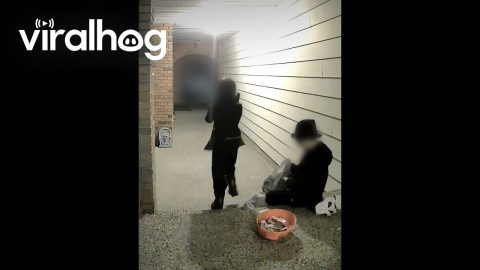 Generous Kids Fill Up Halloween Bowl || ViralHog