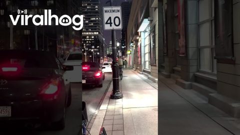 Man Witnesses Shoplifting at Liquor Store || ViralHog