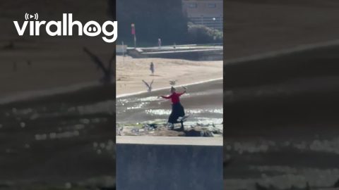 Woman Is One With the Birds || ViralHog