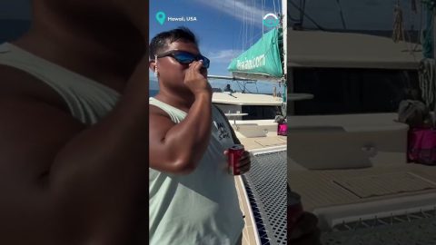 Man Pranks People with 'Dolphin Call' || ViralHog
