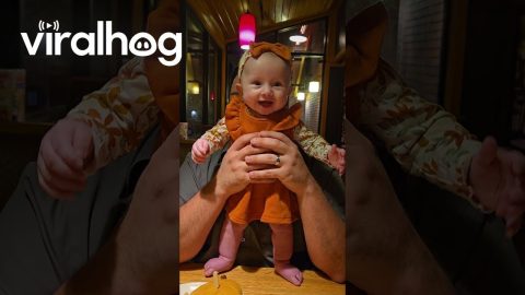 Squeaky Giggles From Smiling Daughter || ViralHog