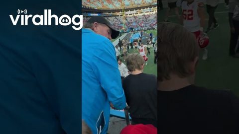 Chiefs Player Catches Boy Falling From Stands || ViralHog