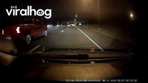Driver Gets Ahead Of One More Car Before Exiting || ViralHog