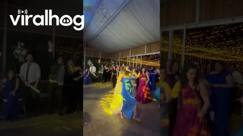 Wedding Guest Determined To Catch Bouquet Toss || ViralHog