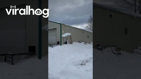 Building Roof Sheds Wet Snow || ViralHog