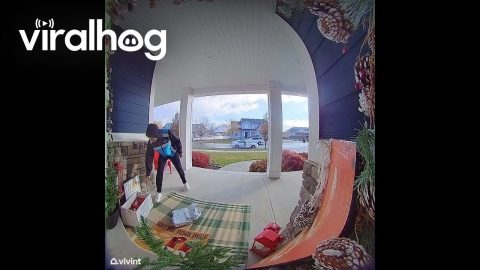 Throw Package, Get Snack, Fall Down || ViralHog