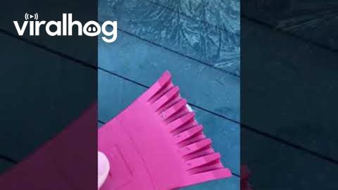 Floral Pattern on Frozen Windshield || ViralHog