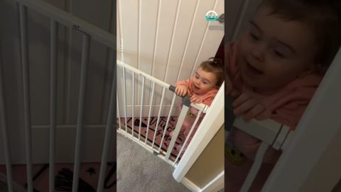 Toddler Kicks Down Baby Gate || ViralHog