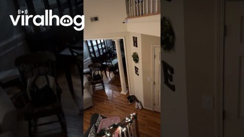 Someone Took The M From Home || ViralHog