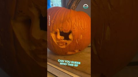 Super IMPRESSIVE Pumpkin Carving Art || ViralHog