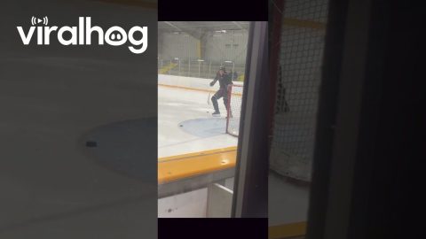 First Hockey Game Ends In Faceplant || ViralHog