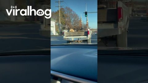 Lawnmower Hauls A Truck Bed Trailer || ViralHog