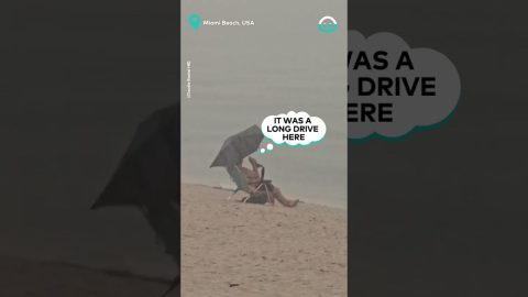 This Man Takes Beach VERY Seriously || ViralHog