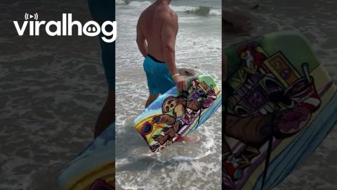Stingray Washes Ashore in New York || ViralHog