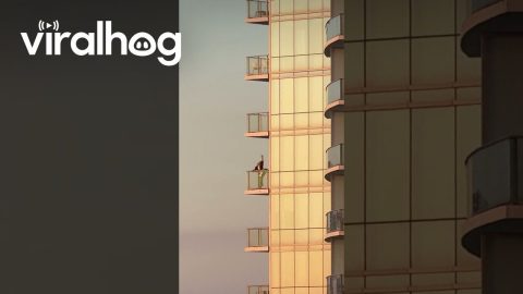 Grinch Dances on High-Rise Balcony || ViralHog