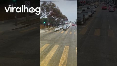 Delivery Robot Struggles to Cross the Street || ViralHog