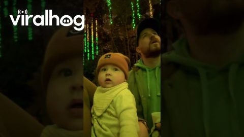 Like Father, Like Son || ViralHog