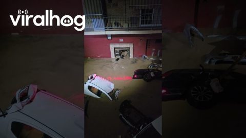Neighbors Help Those in Trapped in Cars by Sudden Flash Flood || ViralHog