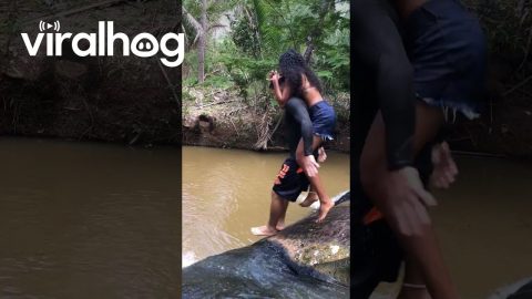 Couple Fail To Jump, Slip Instead || ViralHog