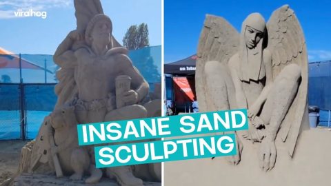 INSANE Sand Sculpting Competition || ViralHog