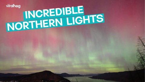 Northern Lights Over Idaho || ViralHog
