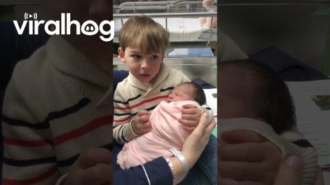 New Big Brother Has a Sudden Change of Heart || ViralHog