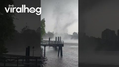Windstorm Blows Through Brisbane Suburb || ViralHog