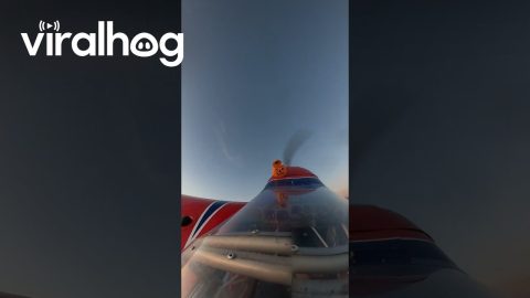 Halloween Aerobatics Over Argentina || ViralHog