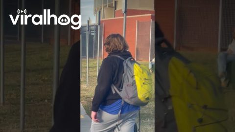 Teenager Hides From Costumed Dad || ViralHog