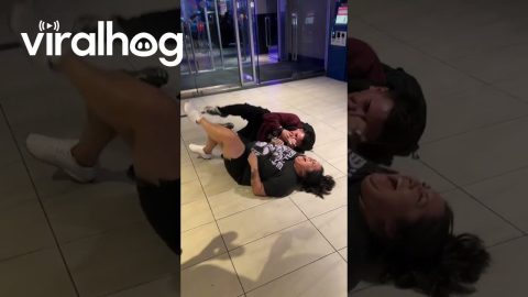 Brother and Sister Reunite After a Year Apart || ViralHog