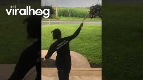 Corn Cob Toss Takes Out Flower Pot || ViralHog