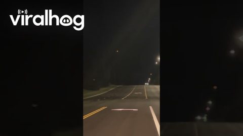 Colorful Flashing UFO Appears Stationary Over Wichita Neighborhood || ViralHog