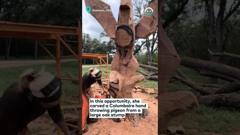 Impressive Chainsaw Wooden Sculpture || ViralHog