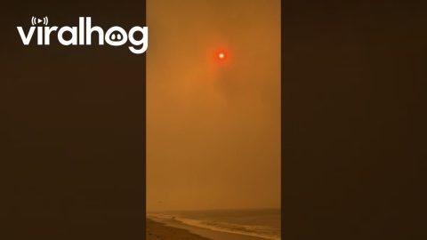 California Beach Covered in Wildfire Smoke || ViralHog