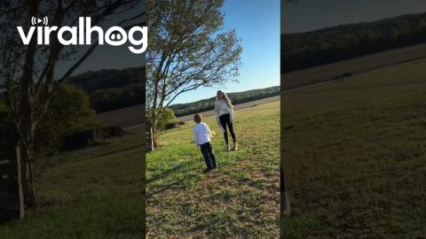Gender Reveal Balloon Flies Away || ViralHog