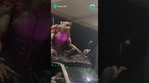 Werewolf Car Dress up || ViralHog