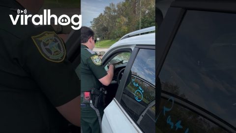Car's Windshield Shattered by Flying Turtle || ViralHog