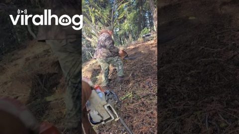 Hunters Rescue a Wild Horse || ViralHog
