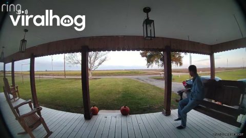 Man Takes a Seat on Broken Bench Swing || ViralHog