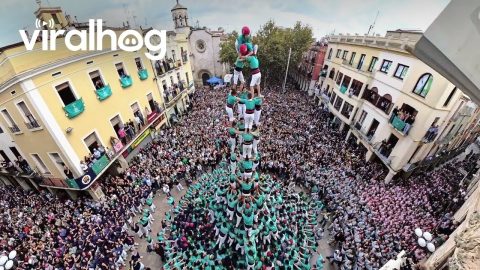 10-Story High Human Tower || ViralHog