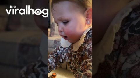 Toddler Thinks Jesus Picture Is Dada || ViralHog