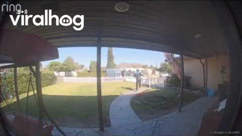 Amazon Driver Feeling Himself Today || ViralHog