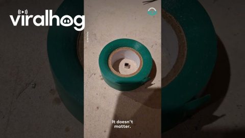 Levitating Magic with a Magnet || ViralHog